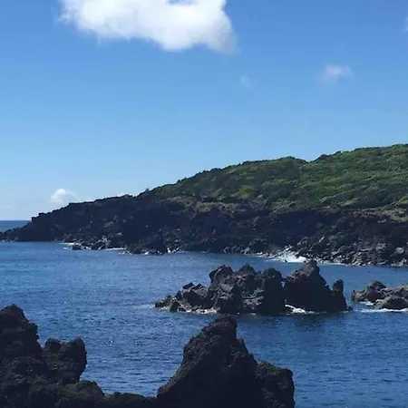 Alegria #1 - Steps To The Ocean!